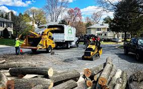 Best Seasonal Cleanup  in Forsyth, MT